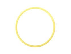 Replacement Spare O-ring (for Dome Lens Unit II for UWL-S100 ZM80)